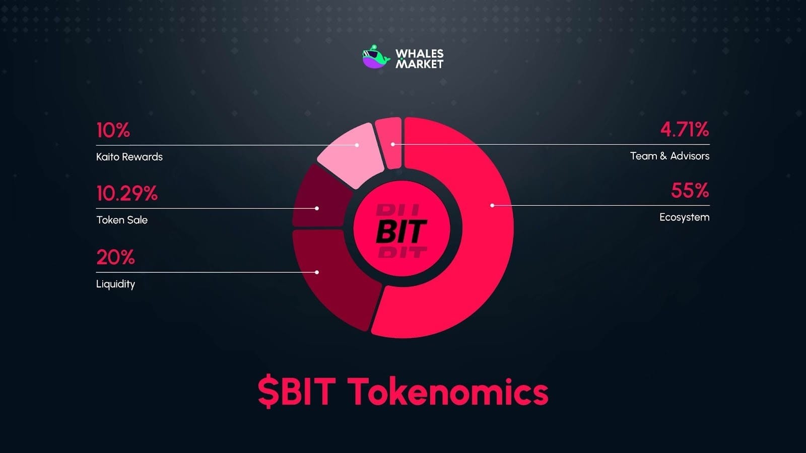$bit token allocation