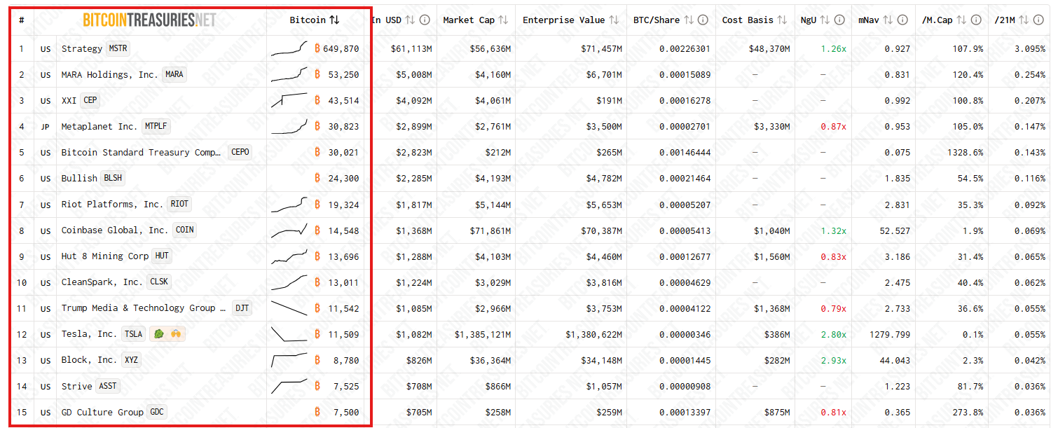 top public companies with the largest bitcoin holdings