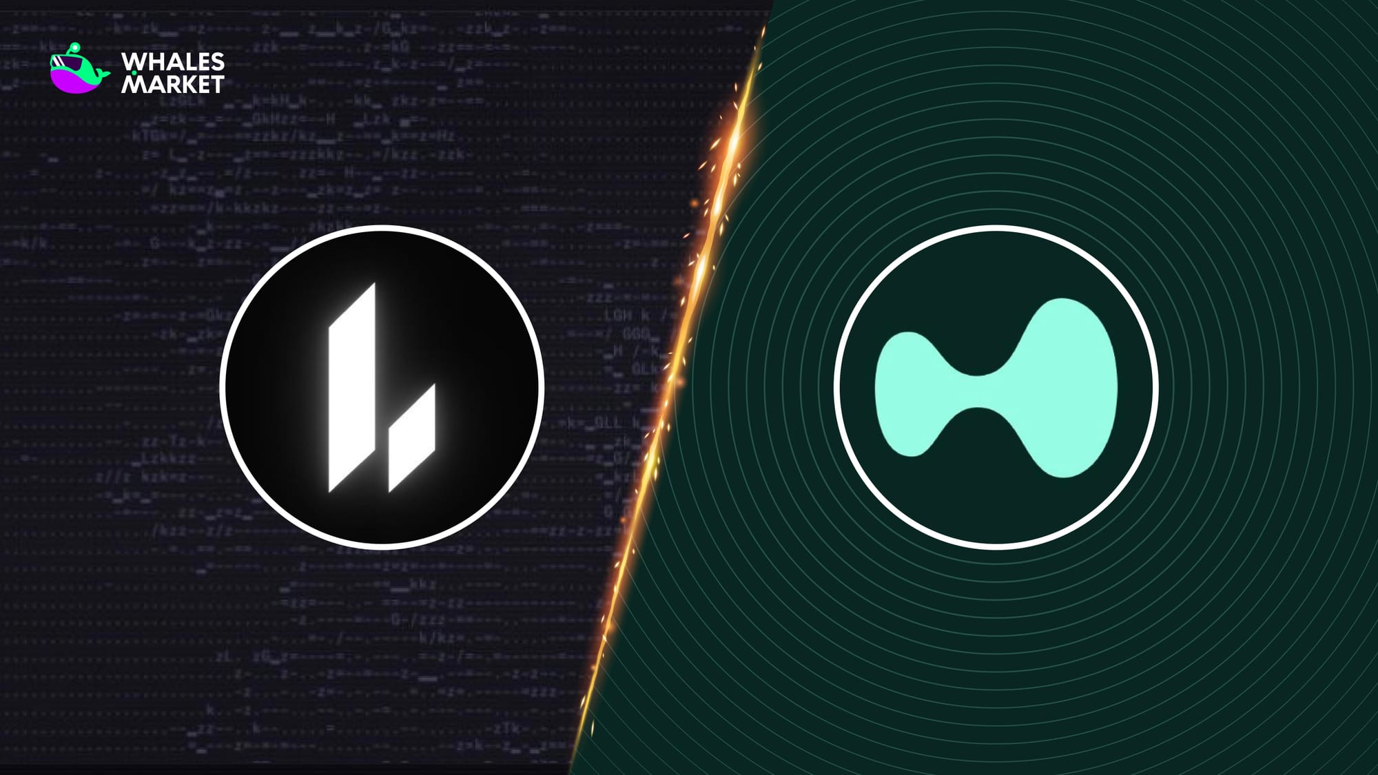 Lighter vs Hyperliquid: Who Is the Winner?