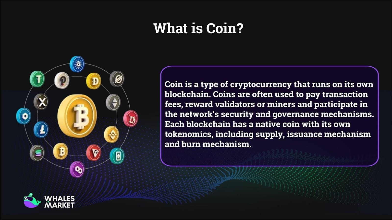 what is coin