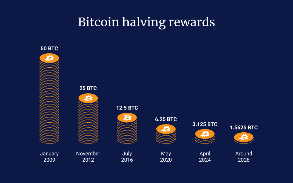 halving schedule rewards drop from 50 btc to 3.125 btc next about 1.5625