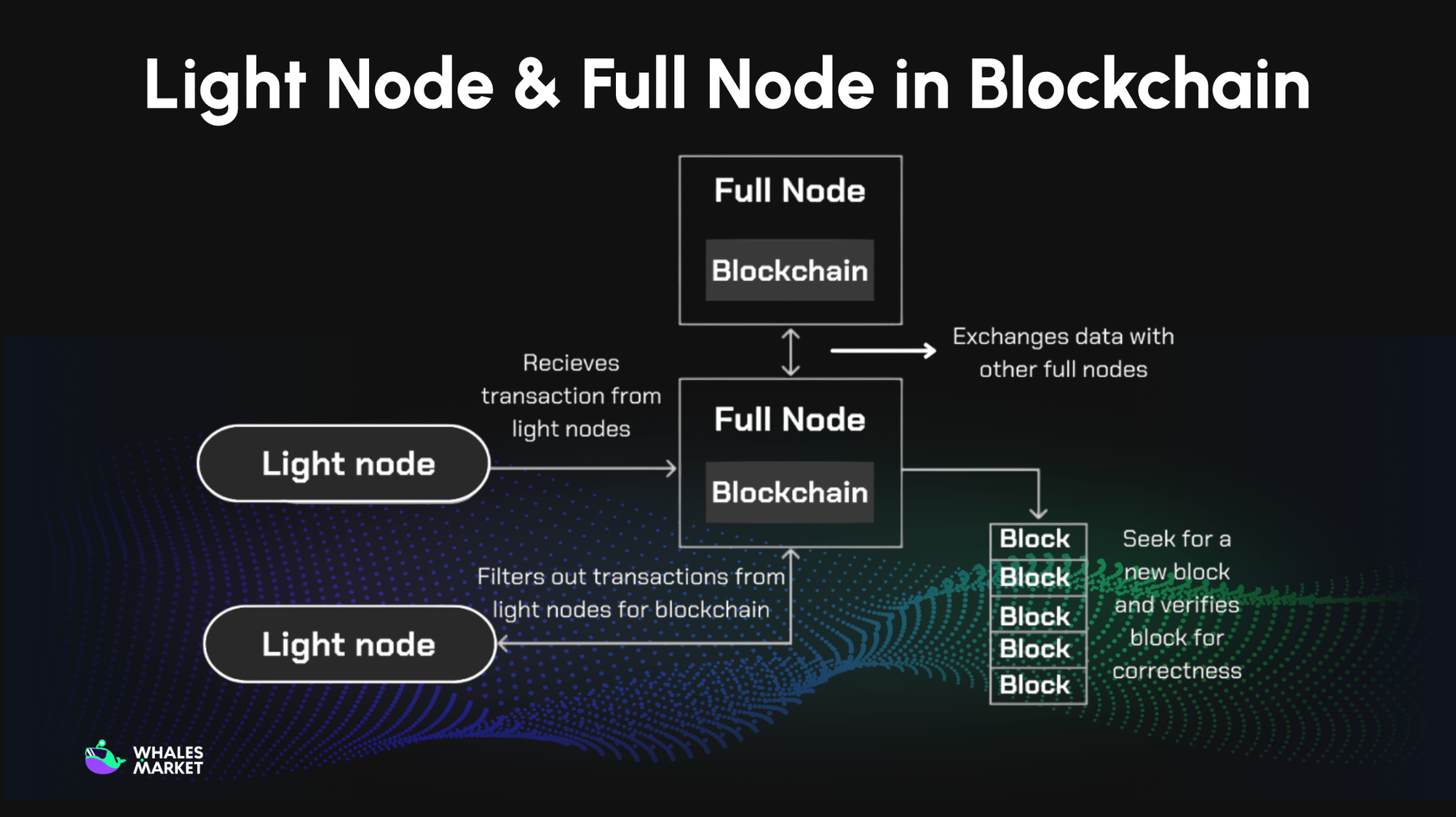 full node light node in blockchain