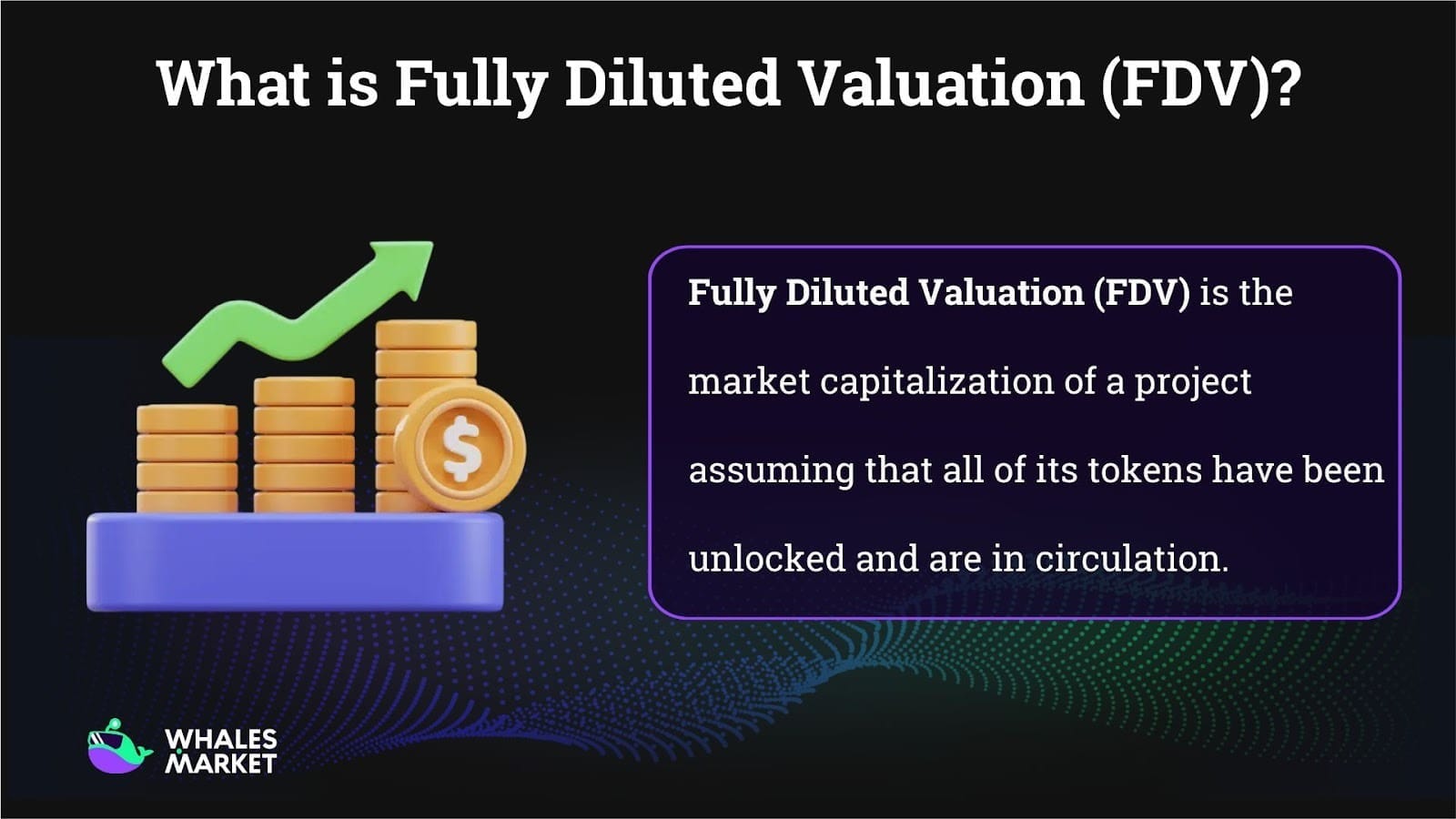 fully diluted valuation fdv meaning 
