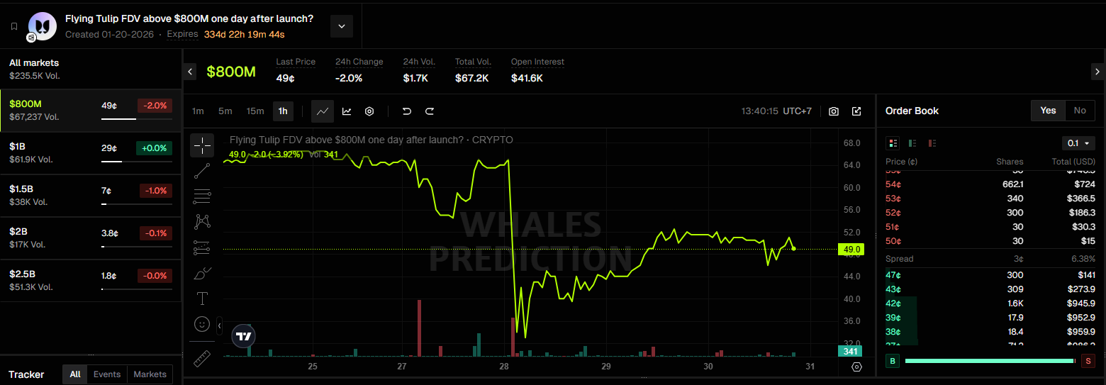 market odds for flying tulip fdv one day after launch