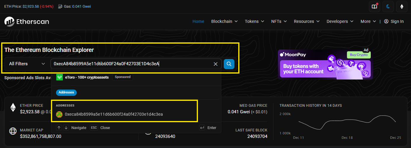 using a blockchain explorer search bar to look up a wallet address or transaction id