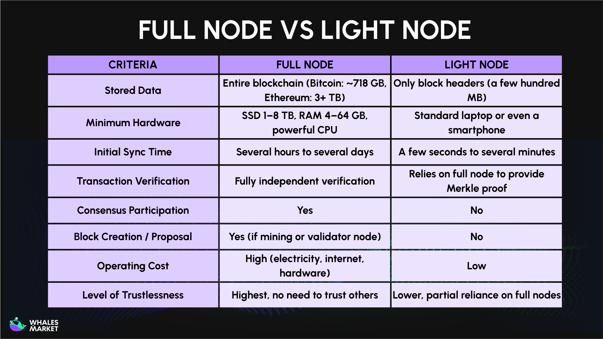 full node vs light node