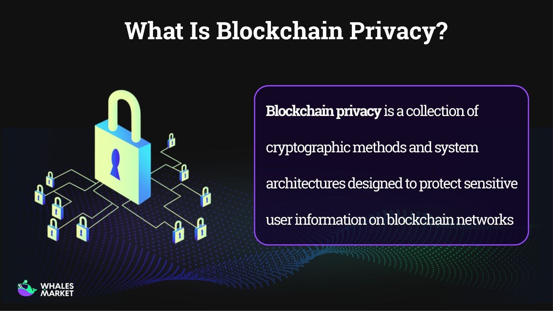 blockchain privacy definition