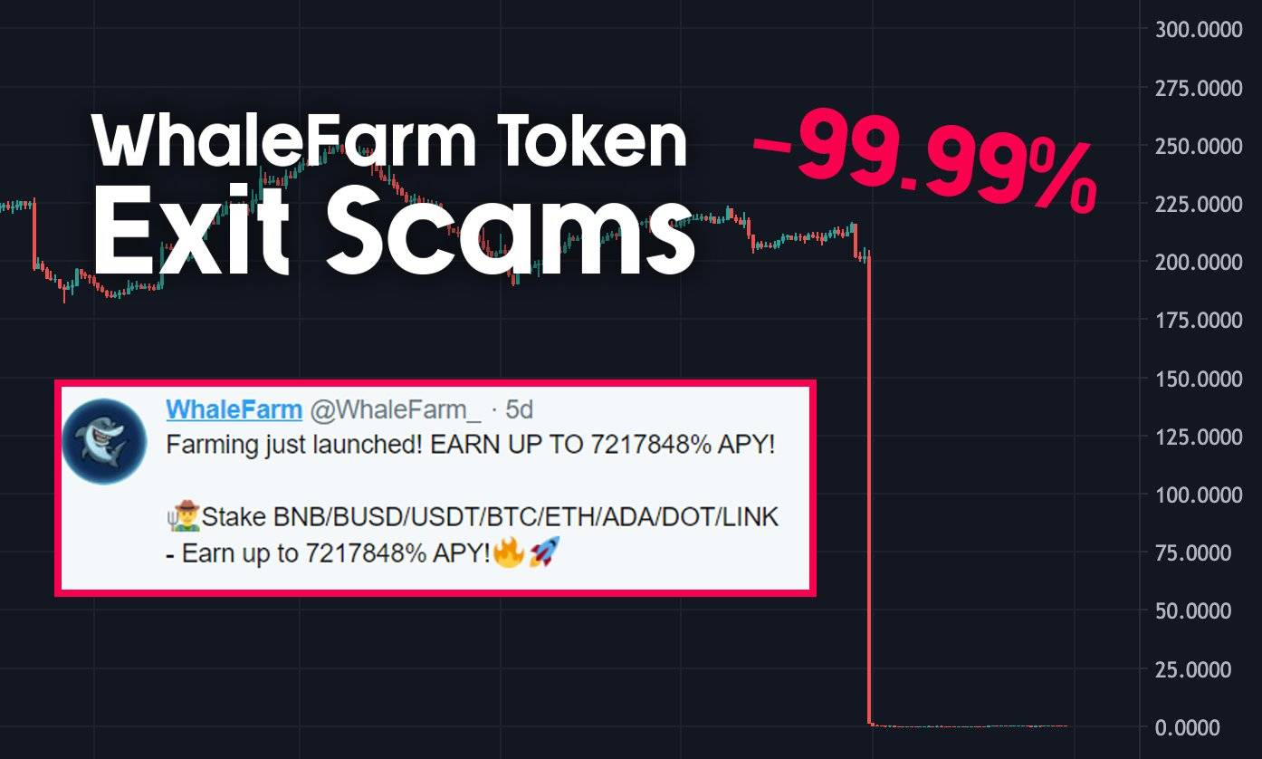 liquidity stealing crypto rug pull