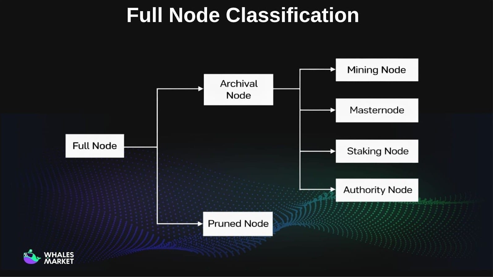 full node classification by data storage and network roles