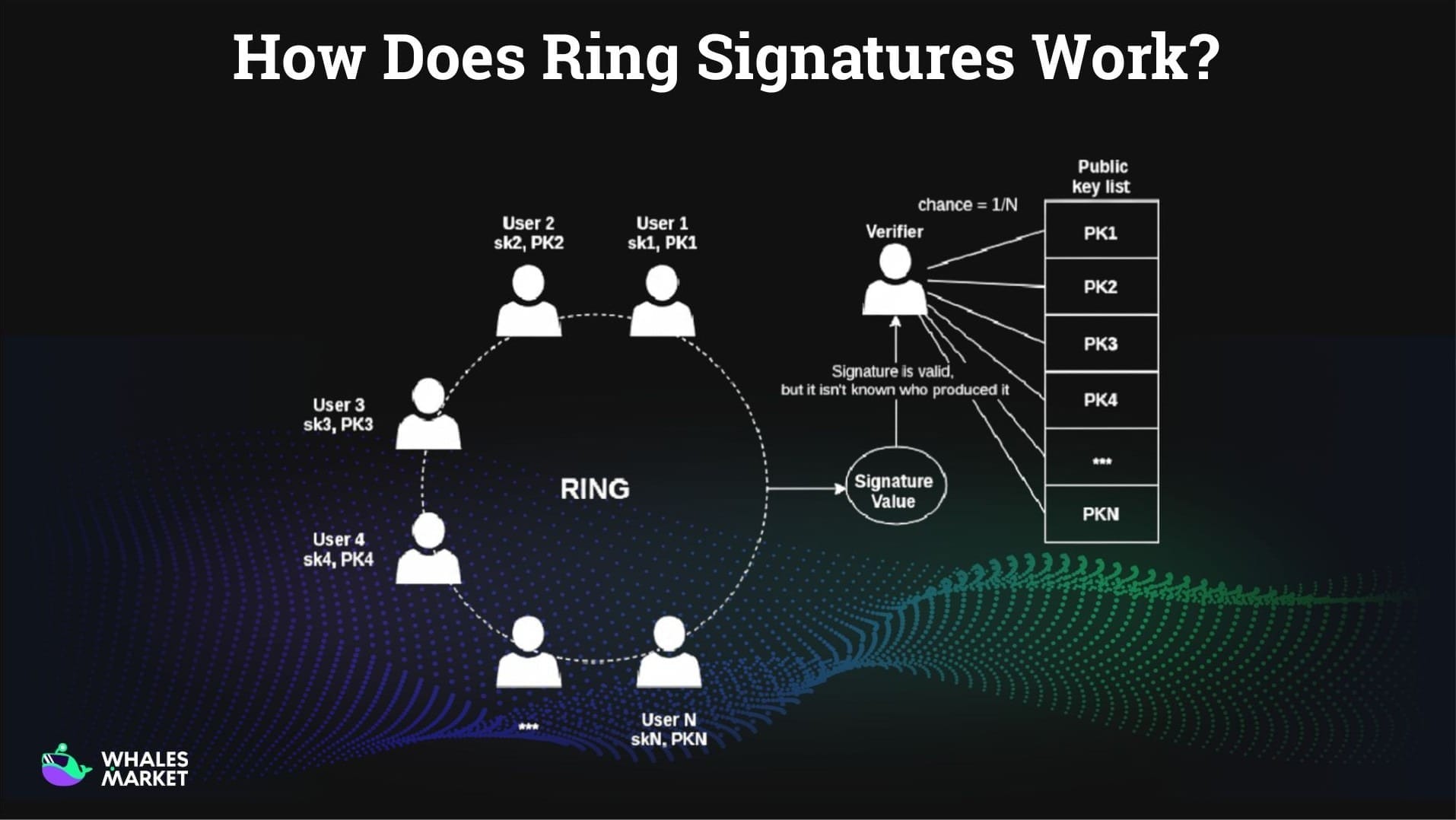ring signatures hide identities while proving transaction authenticity