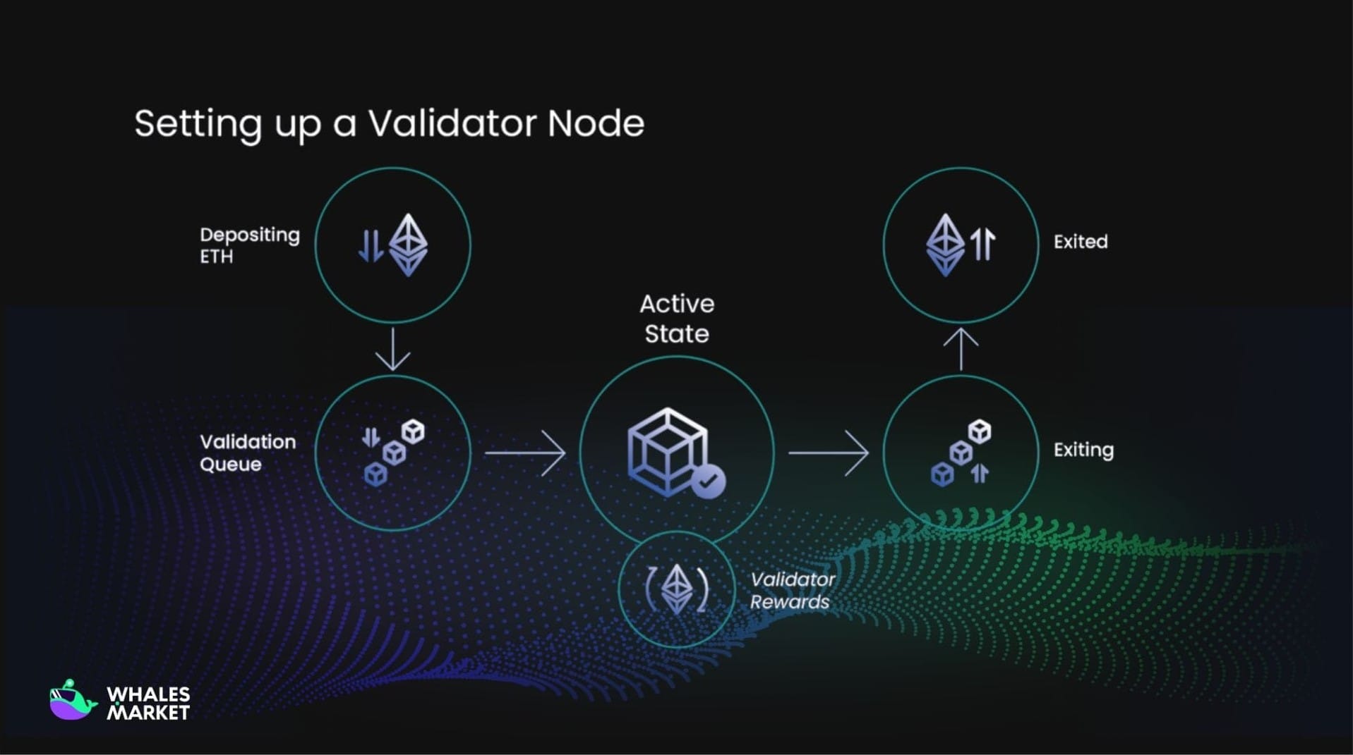 validator node lifecycle in proof of stake networks