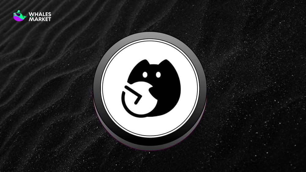 What is Pieverse ($PIEVERSE)? x402 on BNB Chain with fully EIP-3009