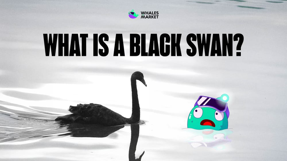 What is a Black Swan? What you Need to Know