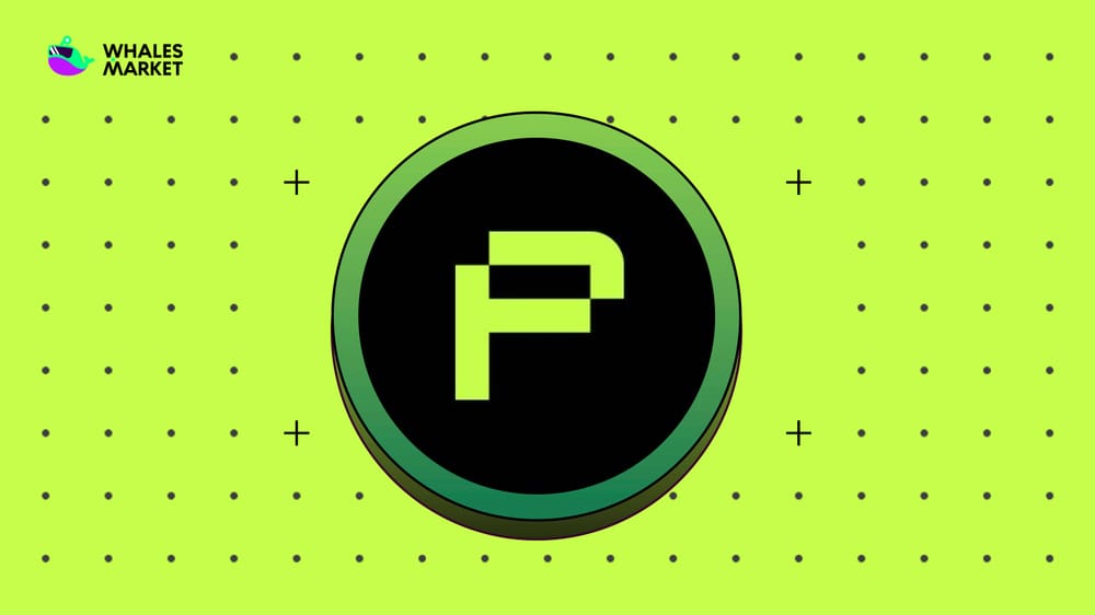 What is zkPass ($ZKP)? Privacy-focused on-chain project