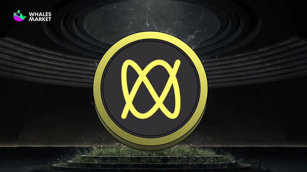 What Is Makina? Smart Contract Vaults for Cross-chain Yield