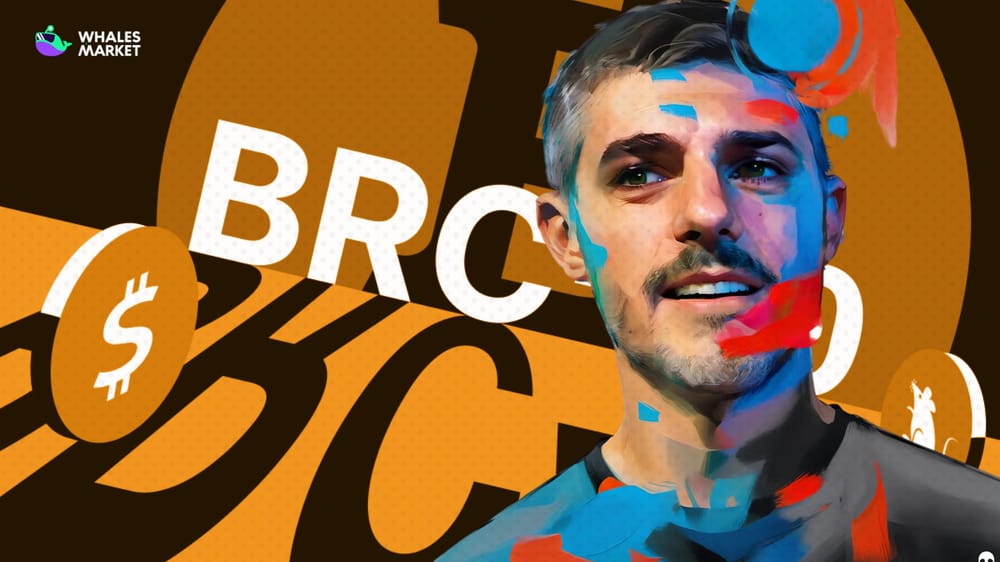 who is casey rodarmor