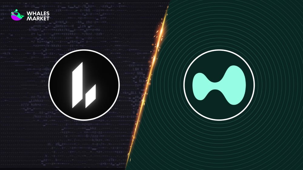 lighter vs hyperliquid