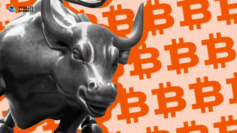 bitcoins bull run is a revival possible