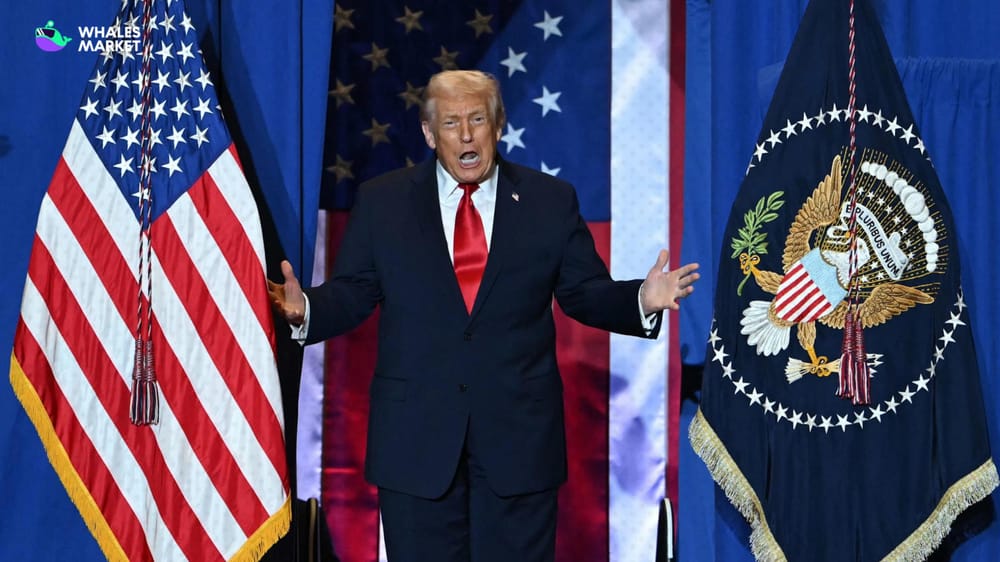 trump has suggested his now dwindling tariff revenues could pay for at least 9 different things