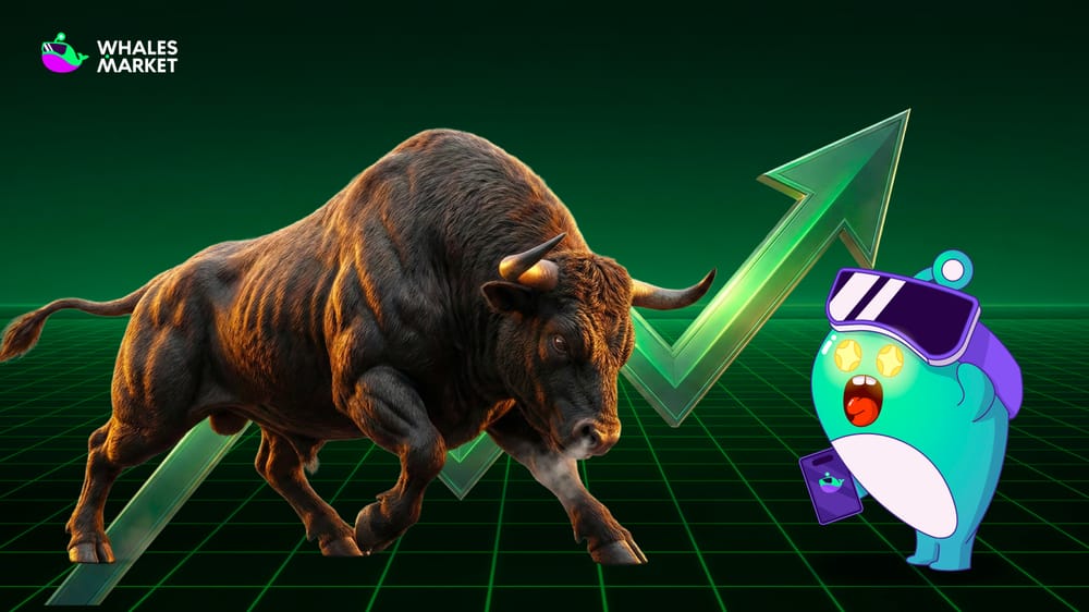 what is bullish? market sentiment during a bullish market