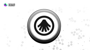 What is Allora Network ($ALLO)? A Self-Improving Decentralized AI