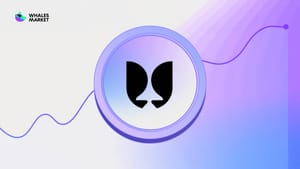 Price Prediction: How High Could $FT Go?