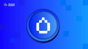 What is HumidiFi ($WET)? Next-generation AMM on Solana