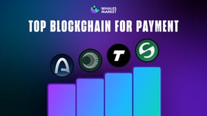 What is Stablecoin Chain? Why Could It Be the Next Big Trend?