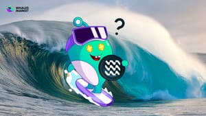 How to get Surf Airdrop? A Step-by-Step Guide