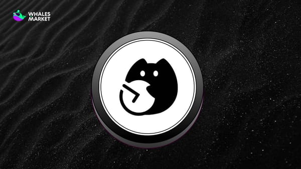 What is Pieverse ($PIEVERSE)? x402 on BNB Chain with fully EIP-3009