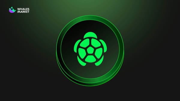What is Turtle ($TURTLE)? Innovative liquidity protocol
