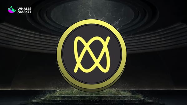 What Is Makina? Smart Contract Vaults for Cross-chain Yield