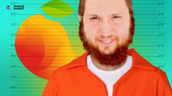 who is avi eisenberg