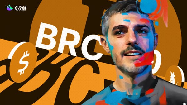 who is casey rodarmor