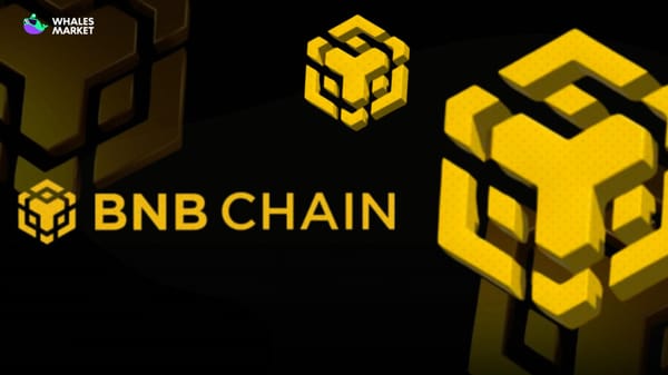 bnb chain attracts builders with large user base strong token