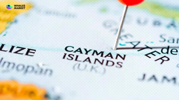 cayman islands see web3 foundation registrations surge
