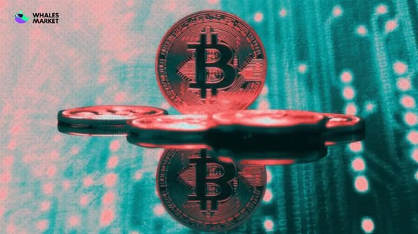 central bank governor suggests bitcoin etf allocation for reserves