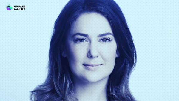 who is meltem demirors