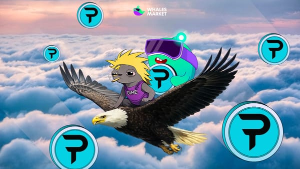 how to get paradex airdrop?