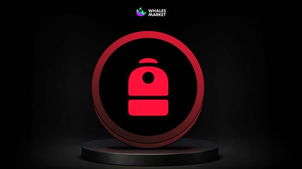 what is backpack? how to use backpack