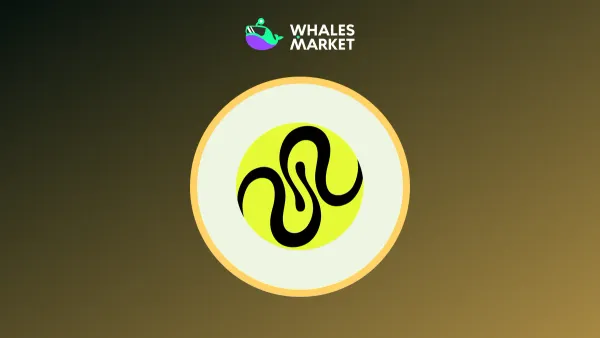 Squid Router cross-chain protocol with the $QUID token symbol and Whales Market pre-market trading